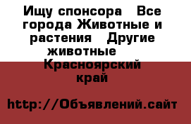 Ищу спонсора - Все города Животные и растения » Другие животные   . Красноярский край